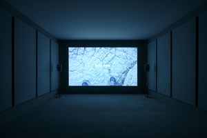 Exhibition view: Scotland + Venice 2019 presents Charlotte Prodger, 'SaF05', Arsenale Docks, Castello (11 May–24 November 2019). Collateral Event of the 58th International Art Exhibition – la Biennale di Venezia 'May You Live in Interesting Times' (11 May–24 November 2019). Courtesy the Artist; Koppe Astner, Glasgow and Hollybush Gardens, London. Photo: Cristiano Corte.